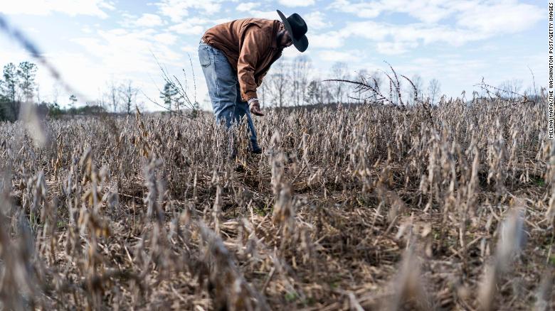 Florida judge blocks USDA debt relief payments to farmers of color