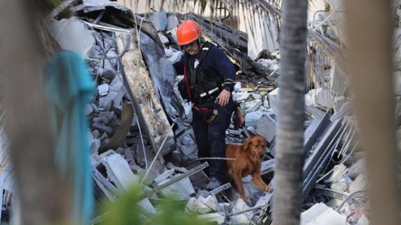 Rescue personnel search through the rubble with dogs on Thursday.