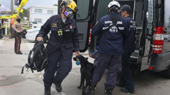 Rescue workers arrive to the scene with dogs on Friday.