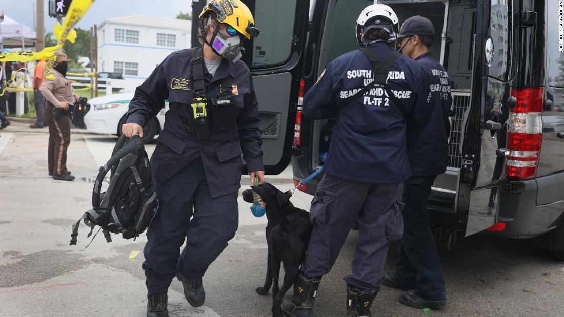 Rescue workers arrive to the scene with dogs on June 25.