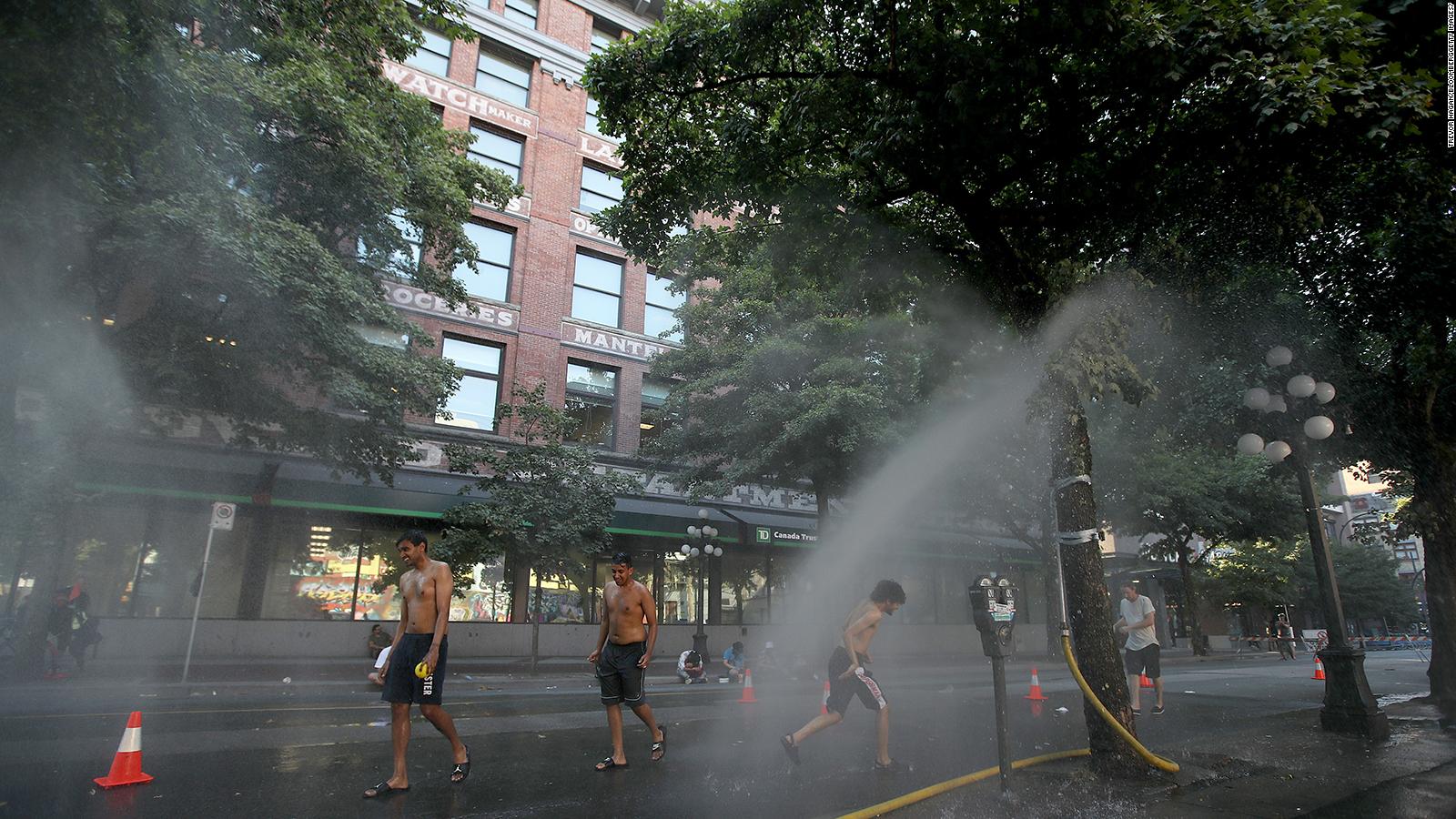 Canada Heat Wave: More Than 230 Deaths Reported In British Columbia ...