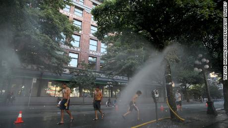 More than 230 deaths reported in British Columbia amid historic heat wave