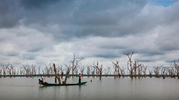 Lake Volta is the world's biggest man-made lake, and trees rise above the water's surface. Fishing nets can become caught on the limbs, and children are made to dive into the water to untangle them. Unable to swim, many children drown.
