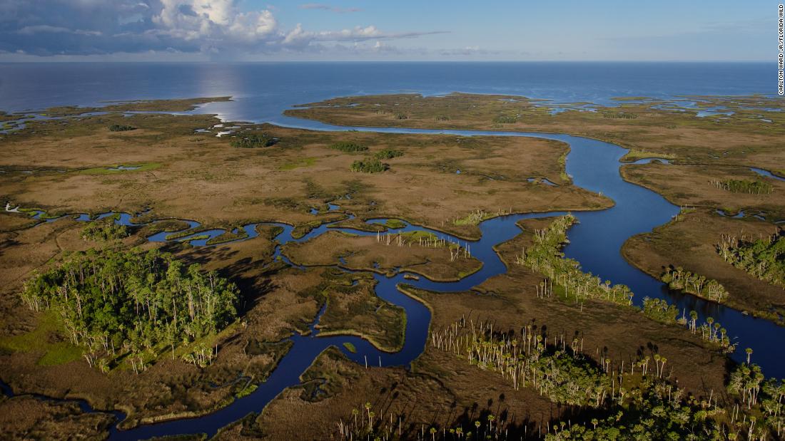 The Florida Wildlife Corridor is nearly 18 million acres of natural ...