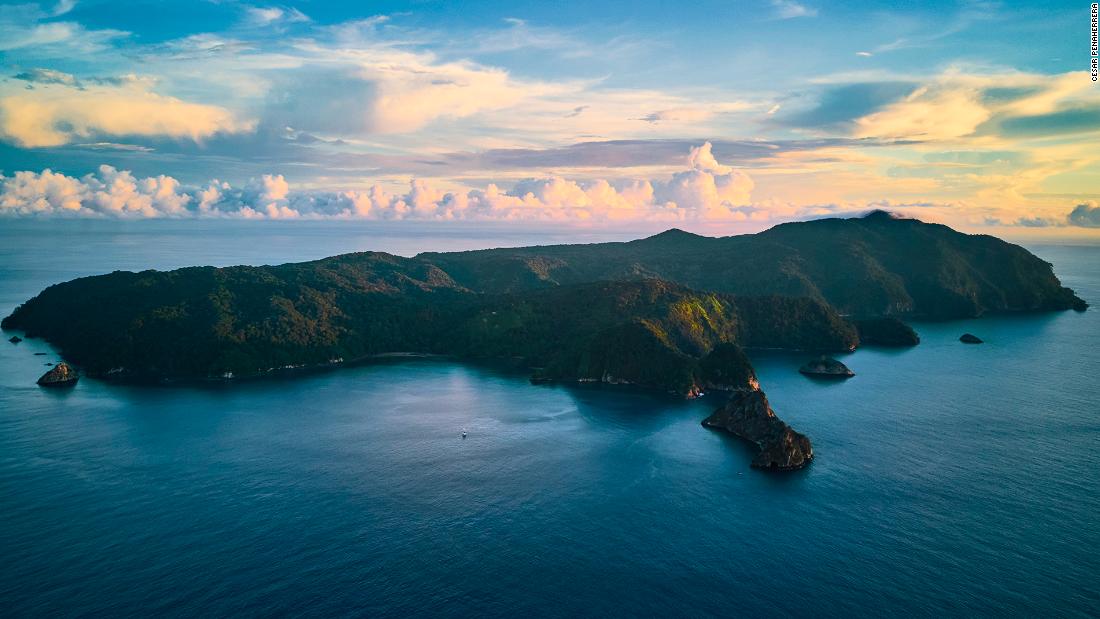 Cocos Island lies 340 miles off the coast of Costa Rica in the eastern tropical Pacific. Another 400 miles south are the Galapagos Islands. Both are considered safe havens for wildlife, and the waters surrounding each area are protected.