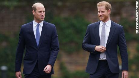 William and Harry are working together again