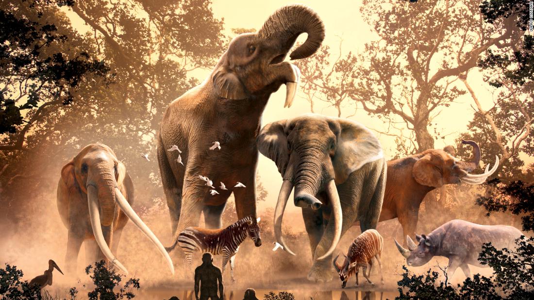 Modern filler eski iklim değişikliğinden kaçtı.  180’den fazla diğer tür