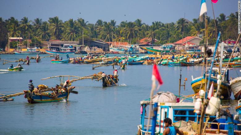 Dead turtles and waves of plastic show Sri Lankan ship disaster's deep ...