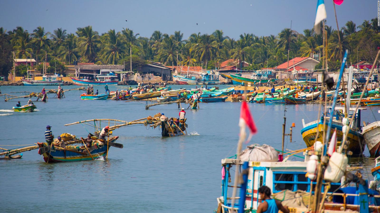 Dead turtles and waves of plastic show Sri Lankan ship disaster's deep ...