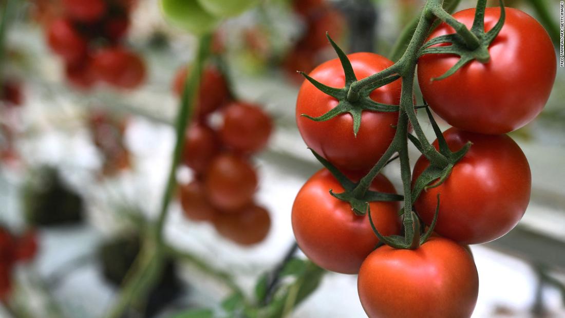 Tomatoes are the perfect no-cook food for a heat wave