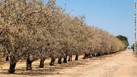 L'Occident est pris dans une boucle de rétroaction vicieuse sur le changement climatique