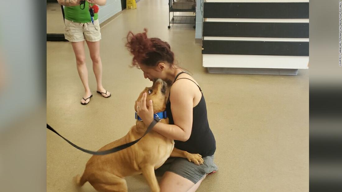 A woman was looking to adopt a new pet. Then she found the dog she lost two years ago