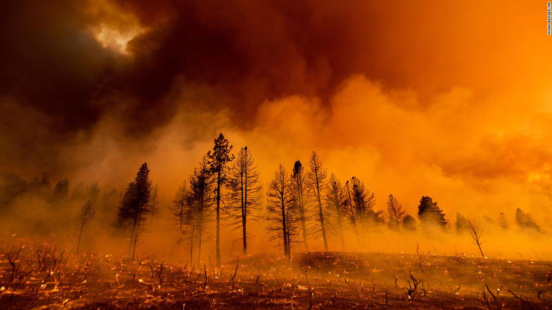 Smoke envelops trees as the Sugar Fire, part of the Beckwourth Complex Fire, burns in Doyle, California, on July 9.