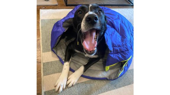 Ruffwear Highlands dog sleeping bag