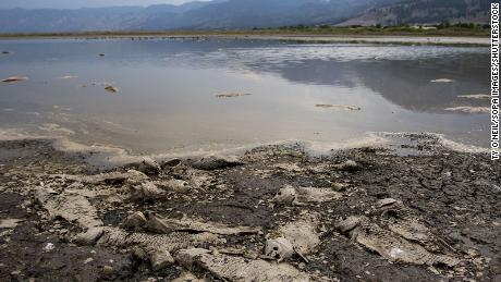 Colorado River Water Cuts Declared For Arizona Nevada Amid Historic Drought Cnn