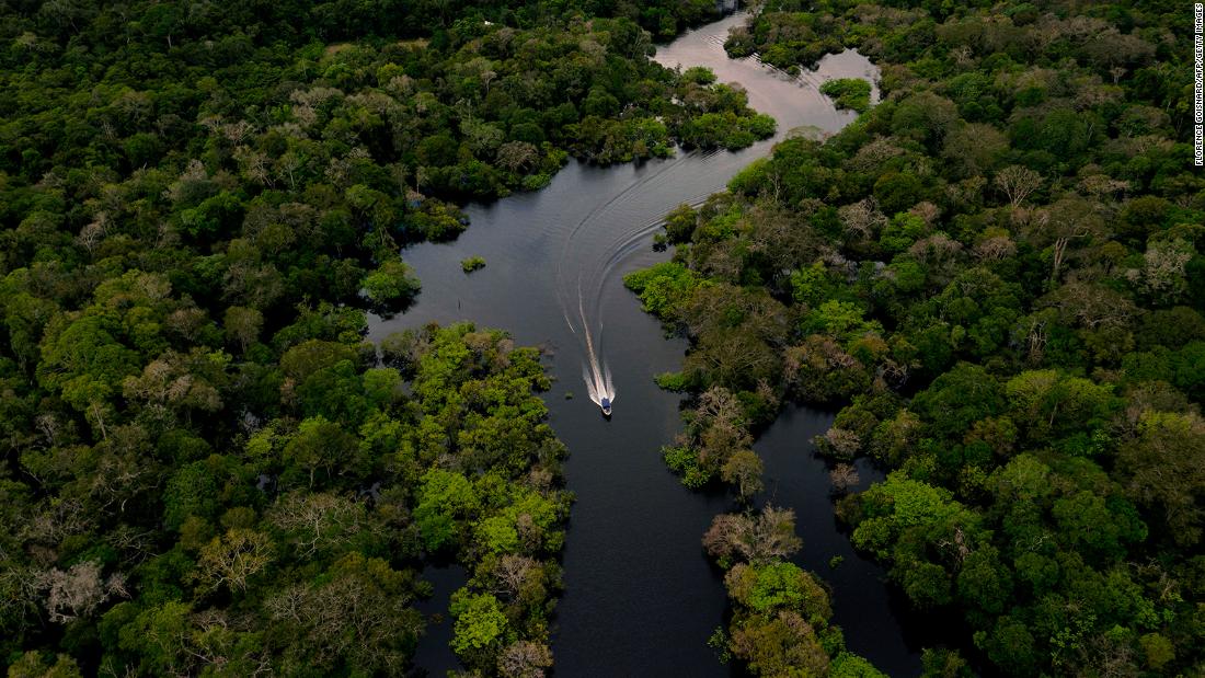 새로운 연구에 따르면 아마존 열대 우림이 사바나로 전환하는 티핑 포인트에 가까워지고 있습니다.