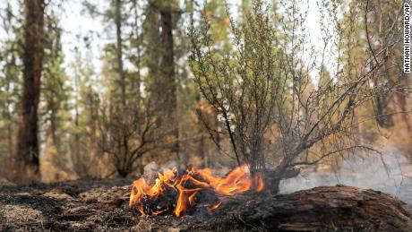 A hotspot flares up on the North East side of the Bootleg Fire on July 14, 2021.