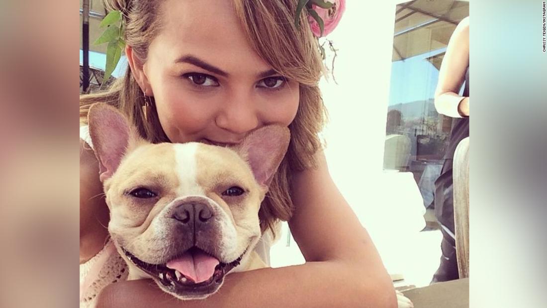 Chrissy Teigen mourns death of her beloved dog Pippa