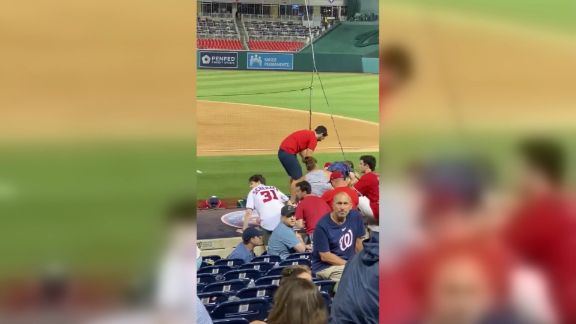 Image for Video Shows Chaos inside Nationals Park after Gunfire Heard