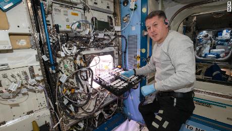 Astronaut Shane Kimbrough initiated the Plant Habitat-04 experiment on July 12.