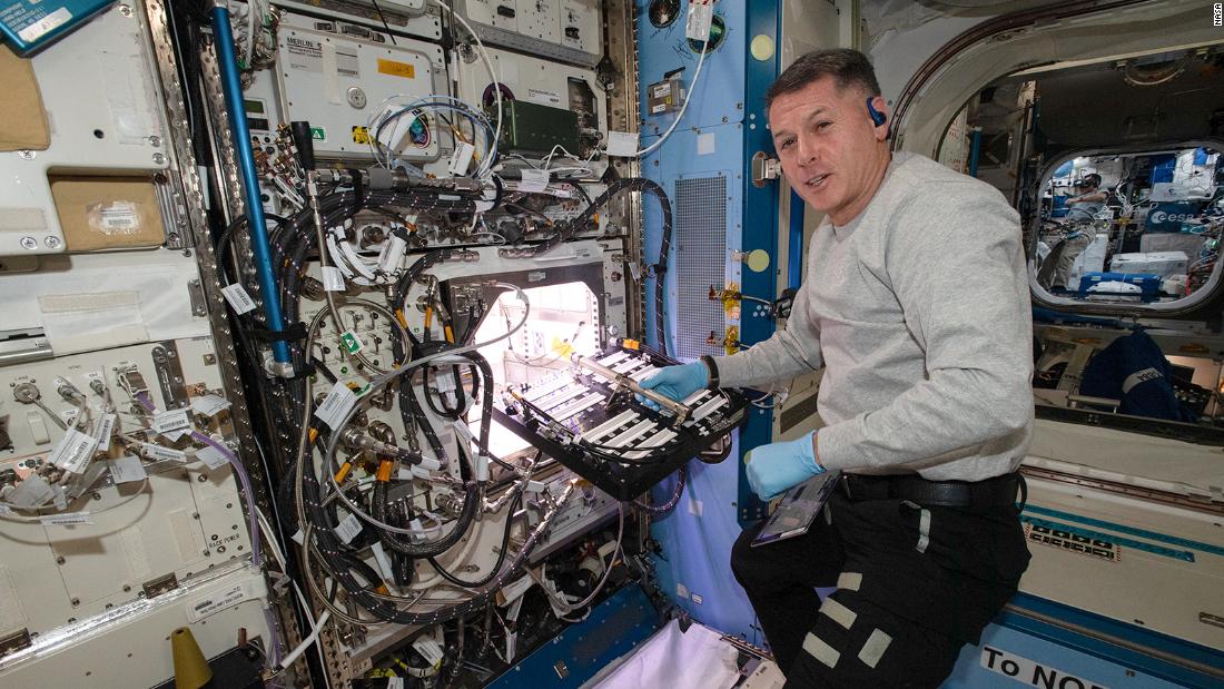 Astronauts on International Space Station are growing chile peppers in a first for NASA