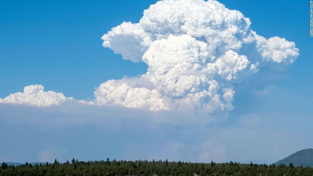 A cloud from the Bootleg Fire drifts into the air near Bly, Oregon, on July 16.