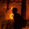 20 western wildfires