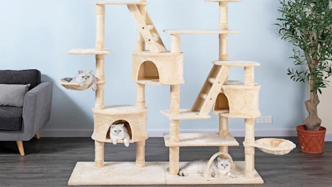 Petco’s Ruff and Mews Sale: Save on pet supplies