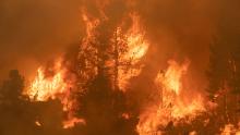 Trees burn along Highway 89 during the Tamarack Fire in the Californian city of Markleeville on July 17.