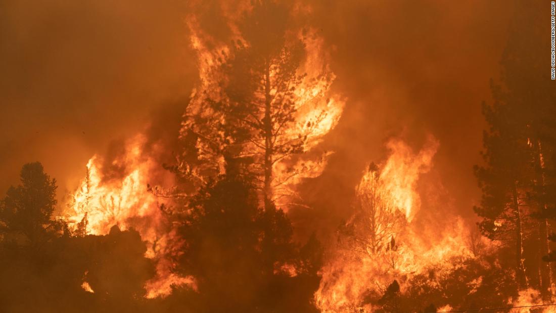 Trees burn along Highway 89 during the Tamarack Fire in the Californian city of Markleeville on July 17.