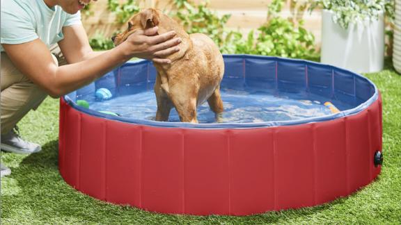Frisco Large Outdoor Dog Swimming Pool, Red