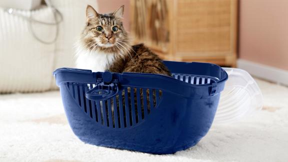 Frisco Top Loading Cat Kennel, Navy