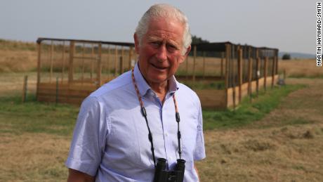 Prince Charles at Sandringham during the release of an endangered bird species.