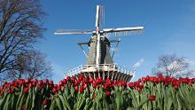 Travel to the Netherlands during Covid-19: What you need to know before you go