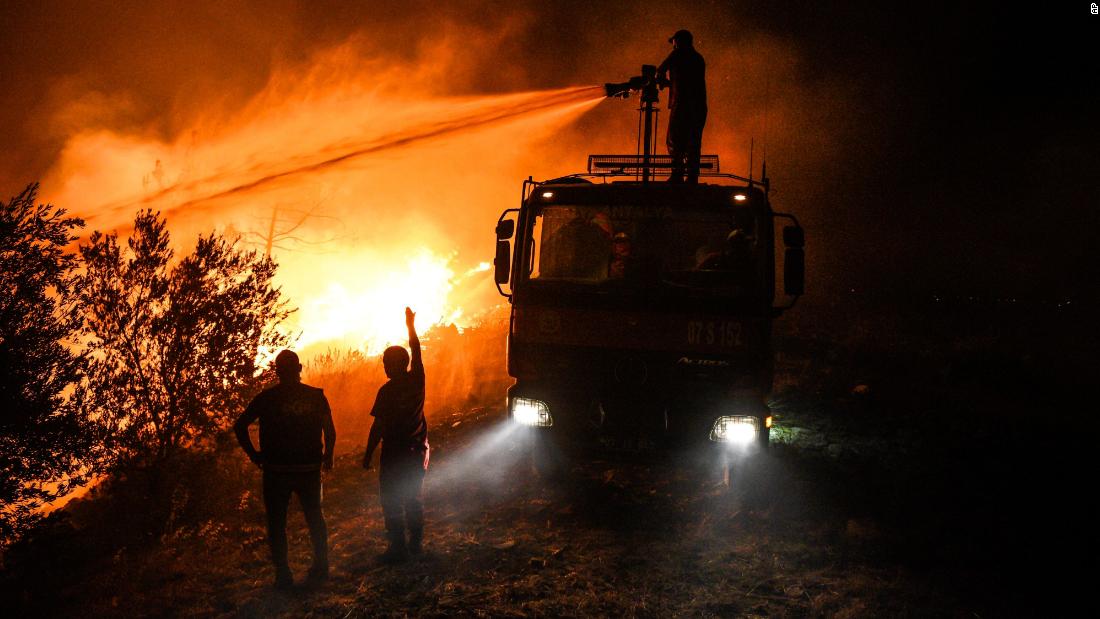 'The animals are on fire,' say devastated farmers as wildfires sweep Turkey