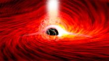 From Stanford press release: Researchers observed bright flares of X-ray emissions, produced as gas falls into a supermassive black hole. The flares echoed off of the gas falling into the black hole, and as the flares were subsiding, short flashes of X-rays were seen -- corresponding to the reflection of the flares from the far side of the disk, bent around the black hole by its strong gravitational field. (Image credit: Dan Wilkins)
