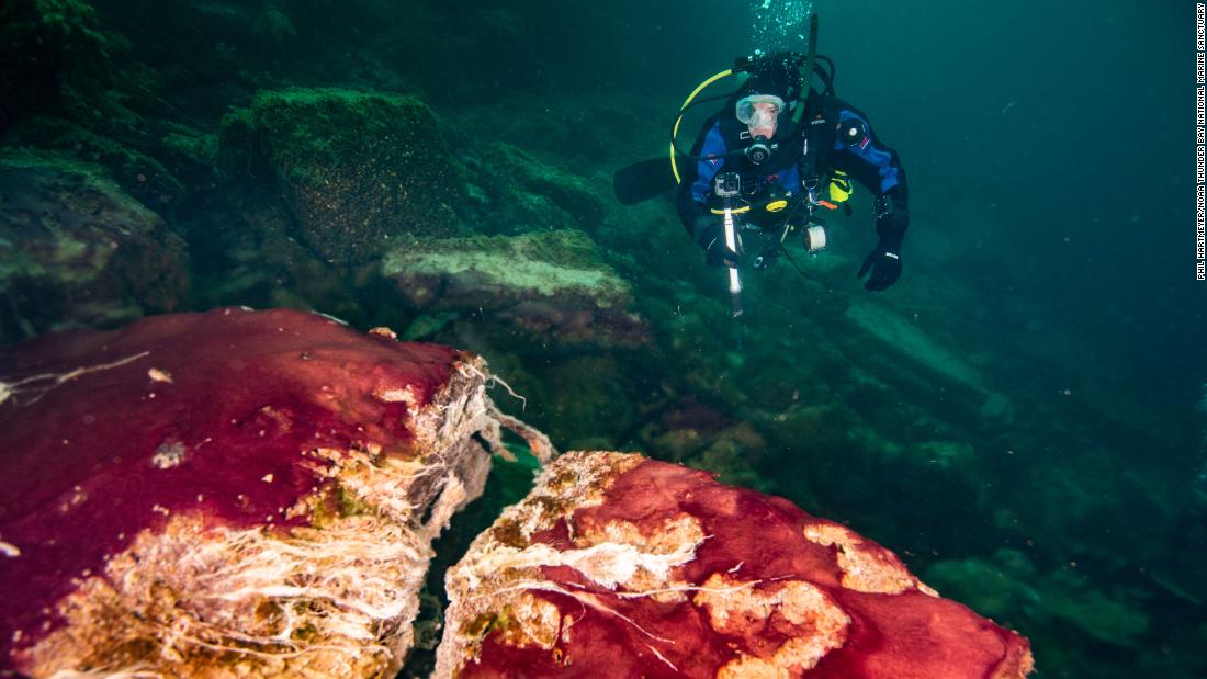 Michigan's Lake Huron sinkhole is a window into how Earth's earliest forms of life diversified - CNN