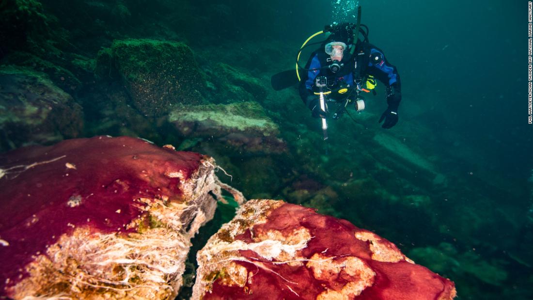 Il flusso del Lago Huron nel Michigan è una finestra su come variavano le prime forme di vita sulla Terra