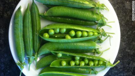 The Avi Joan pea was given to Adam Alexander by Jesus Vargus. This tasty variety was bred by Vargus&#39; grandfather and named after his grandmother, Avi Joan.