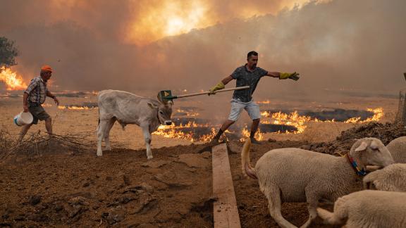 A man leads sheep away from an advancing fire on August 2, in Mugla, Turkey.
