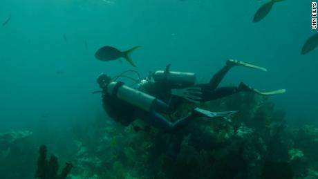 &quot;Lessons from the Water&quot; followed Black scuba divers as they performed fieldwork.