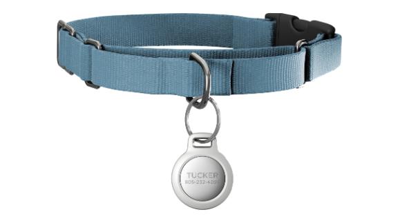 Pet Tag for AirTag