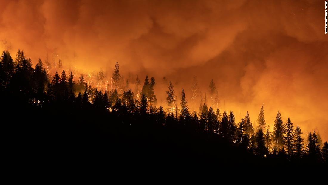 california fire arson