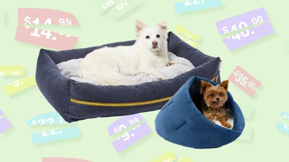 Chewy Pet Beds