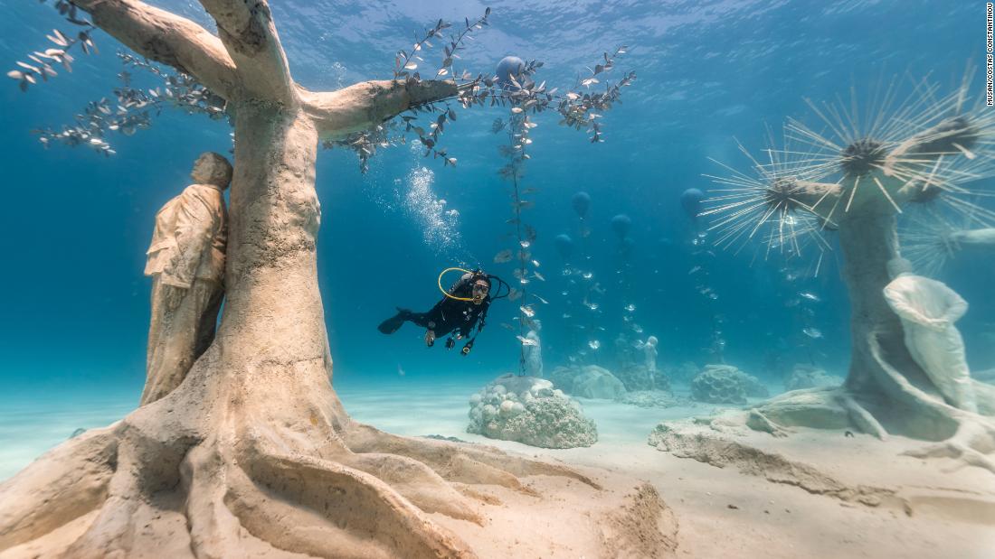 The underwater forest growing in the Med