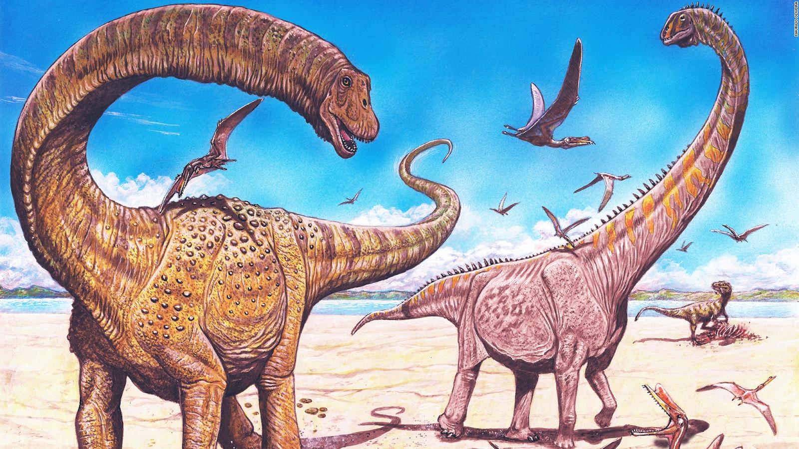 Two new dinosaur species, as big as a blue whale, discovered in China CNN