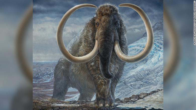 Mammoths were the original ‘ice road truckers,’ traveling vast distances across the Arctic
