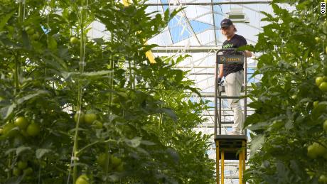 This greenhouse offers a vision for the future of farming