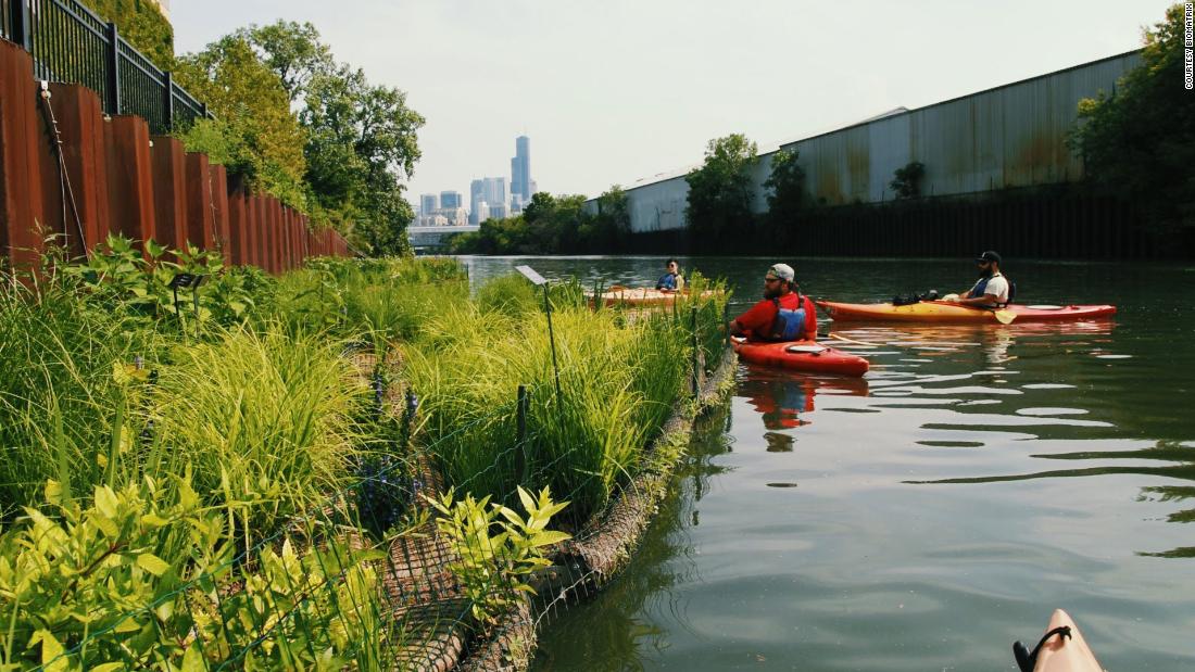 Through its &quot;Living Water Cities&quot; campaign, Biomatrix Water hopes to encourage the development of healthy natural water environments in cities across the world. Pictured: Kayakers enjoy paddling past Biomatrix Floating Ecosystems on the Chicago River.