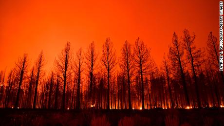 The summer of wildfires in the northern hemisphere caused record carbon emissions